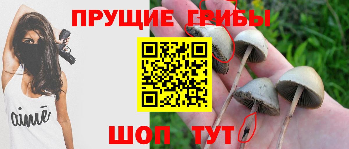 Псилоцибиновые грибы прущие грибы  Псилоцибиновые грибы Psilocybe  Вход с VPN  Феодосия 
